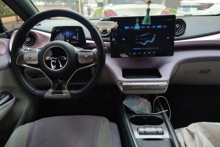 Used BYD Dolphin 2023 420 km Free Version Center Console