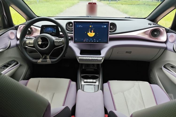 Used BYD Dolphin 2023 420 km Fashion Edition Center Console