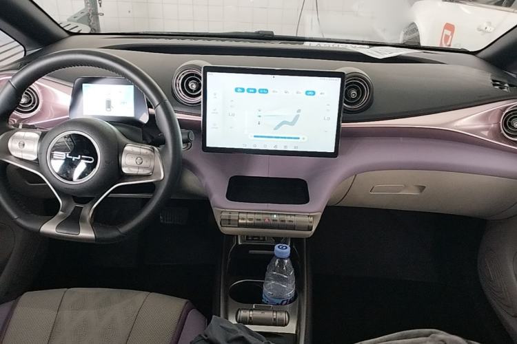Used BYD Dolphin 2023 420 km Fashion Edition Center Console