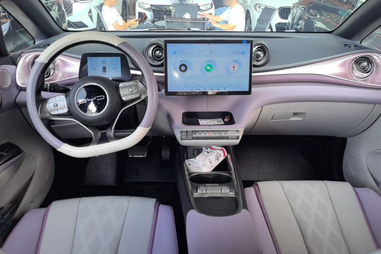 Used BYD Dolphin 2023 420 km Free Version Center Console