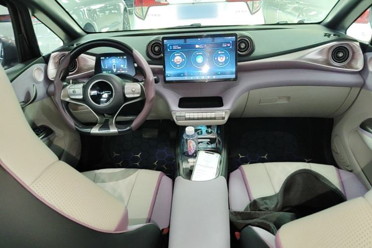 Used BYD Dolphin 2023 420 km Free Version Center Console