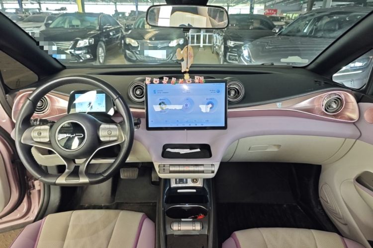 Used BYD Dolphin 2023 420 km Fashion Edition Center Console