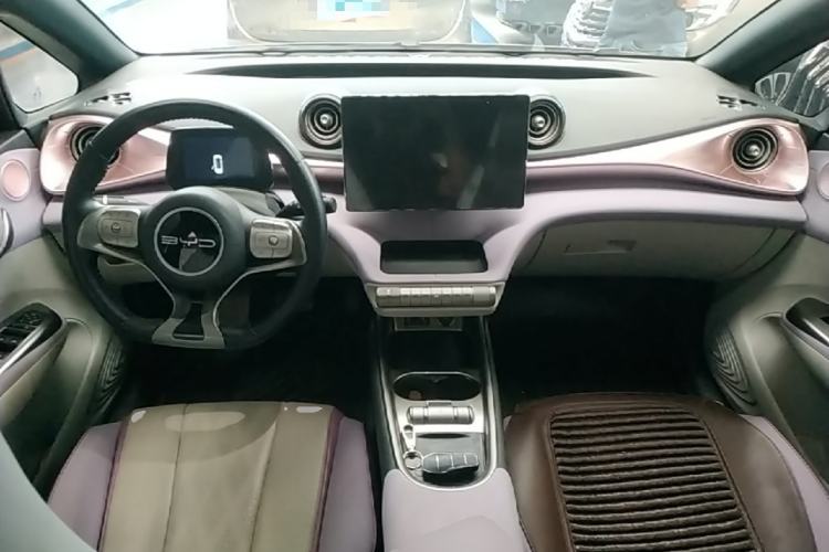Used BYD Dolphin 2023 420 km Free Version Center Console