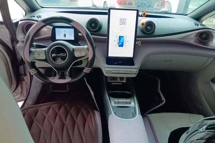 Used BYD Dolphin 2023 420 km Fashion Edition Center Console