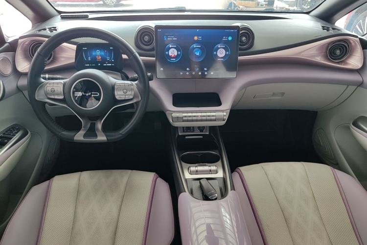 Used BYD Dolphin 2023 420 km Fashion Edition Center Console