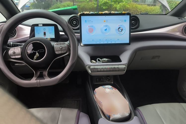 Used BYD Dolphin 2023 420 km Fashion Edition Center Console