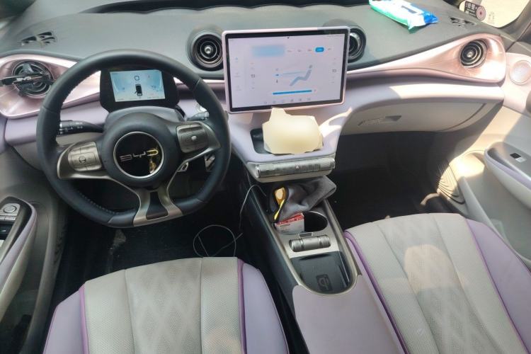 Used BYD Dolphin 2023 420 km Fashion Edition Center Console