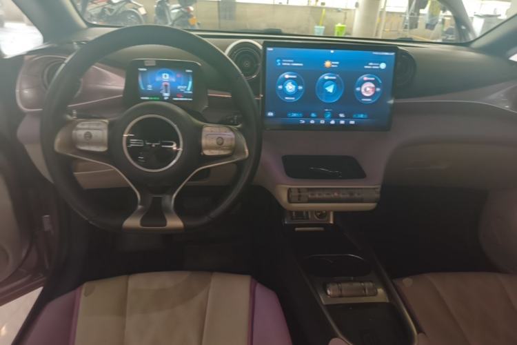 Used BYD Dolphin 2023 420 km Fashion Edition Center Console