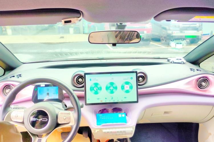 Used BYD Dolphin 2023 420 km Free Version Center Console