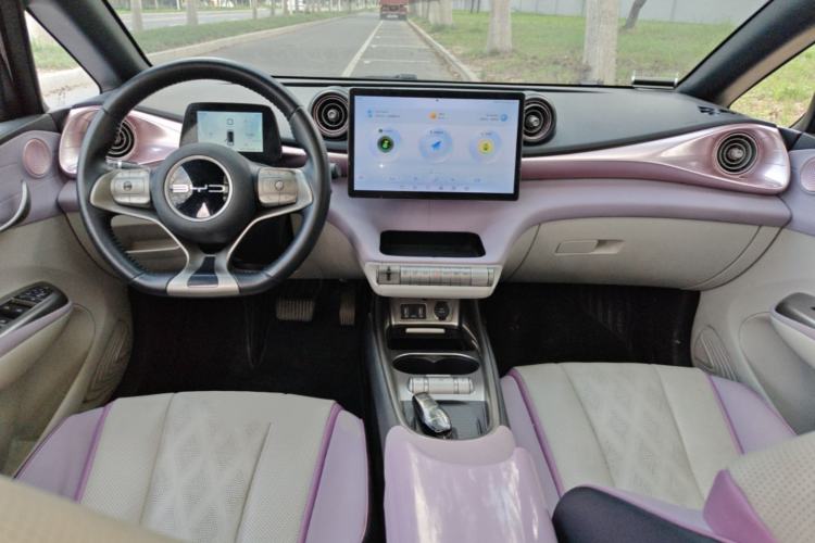 Used BYD Dolphin 2023 420 km Fashion Edition Center Console