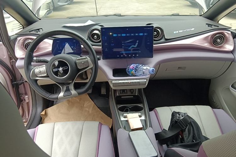 Used BYD Dolphin 2023 420 km Fashion Edition Center Console