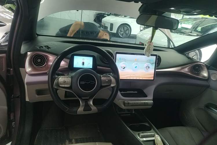 Used BYD Dolphin 2023 420 km Fashion Edition Center Console