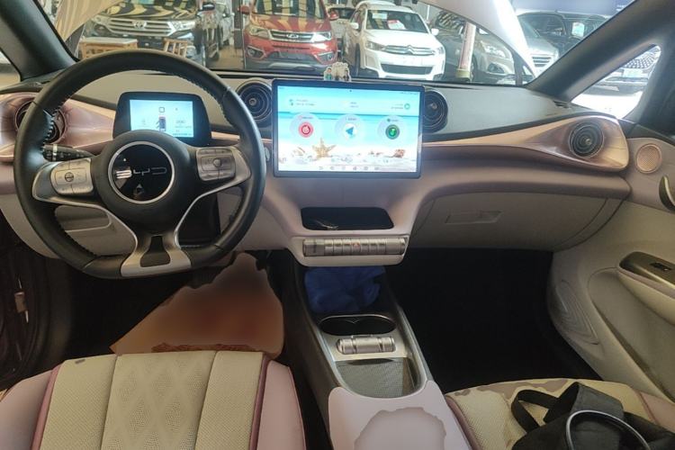 Used BYD Dolphin 2023 420 km Free Version Center Console