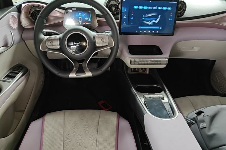 Used BYD Dolphin 2023 420 km Fashion Edition Center Console