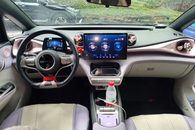 Used BYD Dolphin 2023 420 km Fashion Edition Center Console