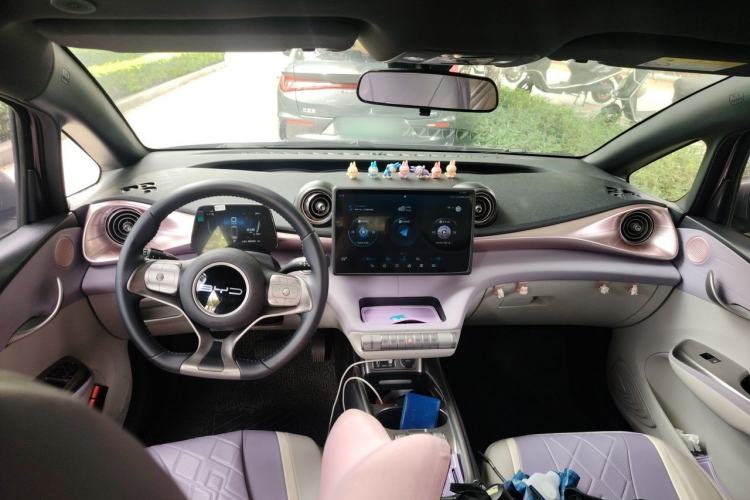 Used BYD Dolphin 2023 420 km Fashion Edition Center Console