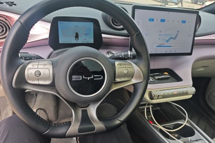 Used BYD Dolphin 2023 420 km Fashion Edition Center Console