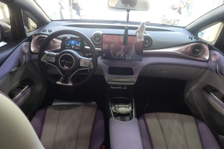 Used BYD Dolphin 2023 420 km Fashion Edition Center Console