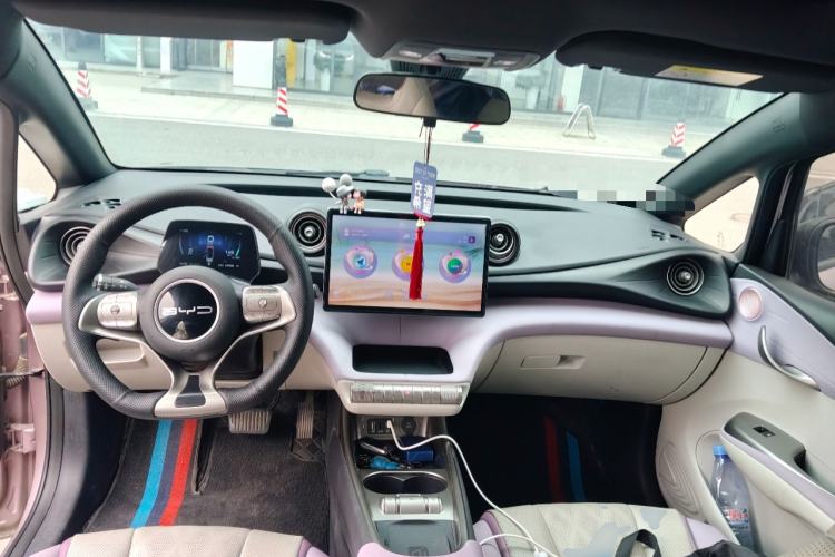 Used BYD Dolphin 2023 420 km Fashion Edition Center Console
