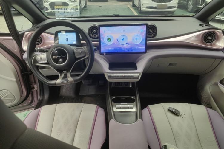 Used BYD Dolphin 2023 420 km Free Version Center Console