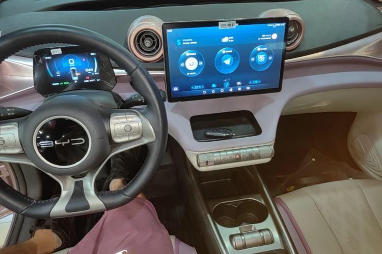 Used BYD Dolphin 2023 420 km Fashion Edition Center Console