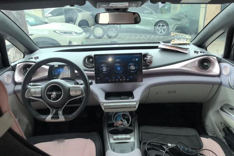 Used BYD Dolphin 2023 420 km Fashion Edition Center Console
