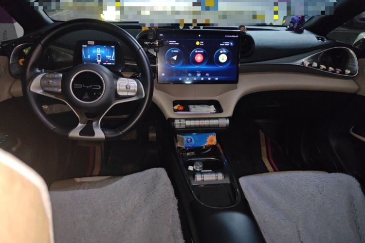 Used BYD Dolphin 2023 420 km Fashion Edition Center Console