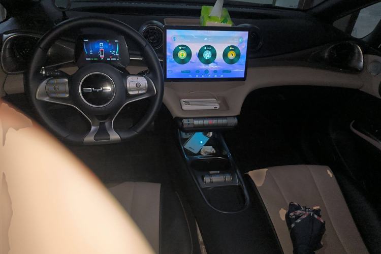 Used BYD Dolphin 2023 420 km Fashion Edition Center Console