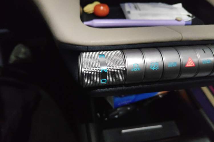 Used BYD Dolphin 2023 420 km Fashion Edition Gear Lever