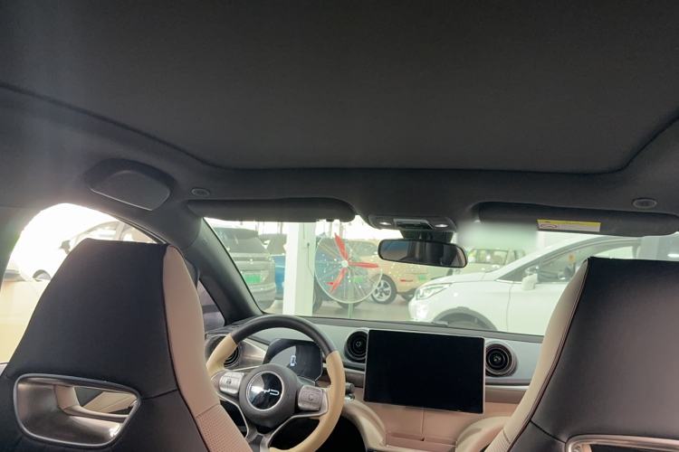 Used BYD Dolphin 2023 420 km Fashion Edition Headliner