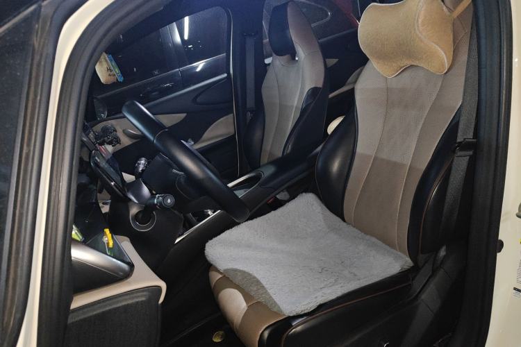 Used BYD Dolphin 2023 420 km Fashion Edition Left Front Seat