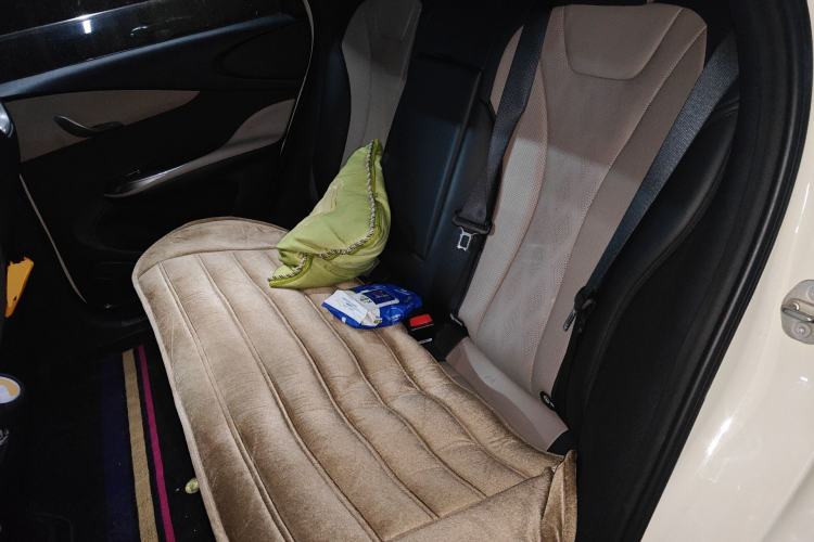 Used BYD Dolphin 2023 420 km Fashion Edition Left Rear Seat