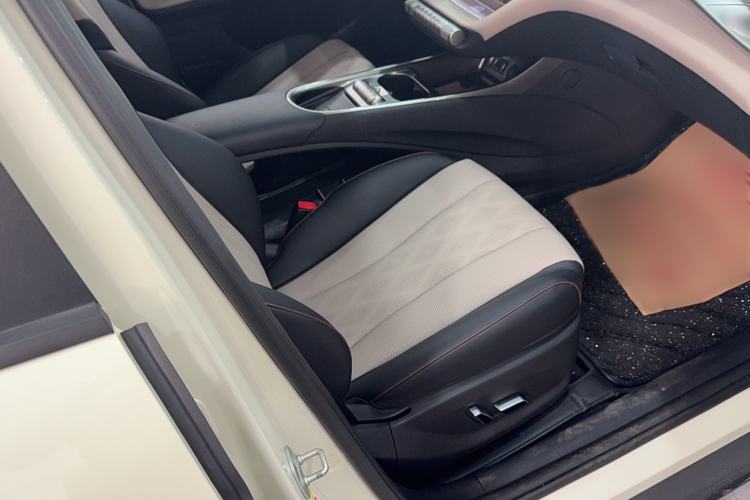 Used BYD Dolphin 2023 420 km Fashion Edition Right Front Seat