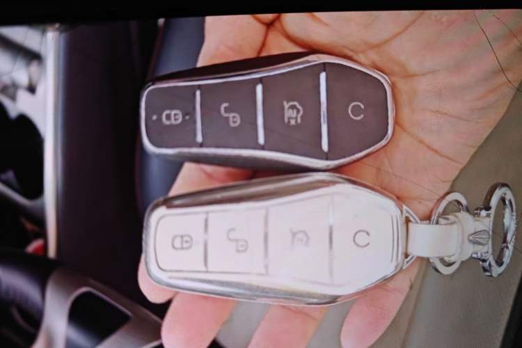 Used BYD Dolphin 2023 420 km Fashion Edition Vehicle Key
