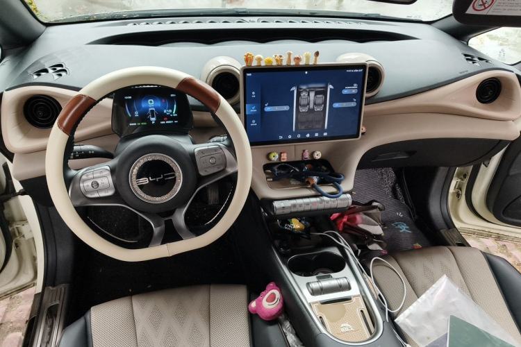 Used BYD Dolphin 2023 420 km Fashion Edition Center Console