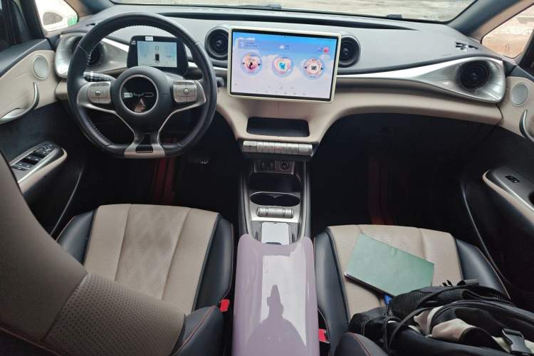 Used BYD Dolphin 2023 420 km Fashion Edition Center Console