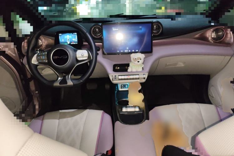 Used BYD Dolphin 2023 401km Knight Edition Center Console