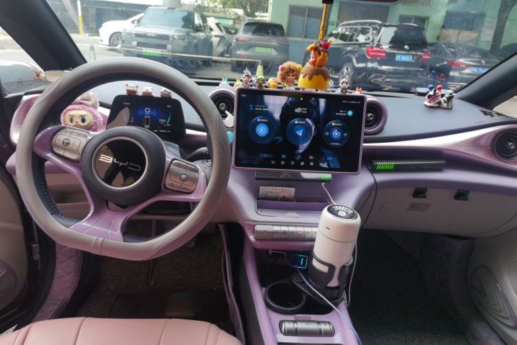 Used BYD Dolphin 2023 420 km Fashion Edition Center Console
