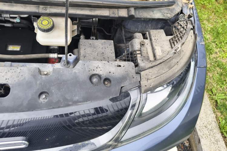 Used BYD Dolphin 2023 401km Knight Edition Engine Bay Left