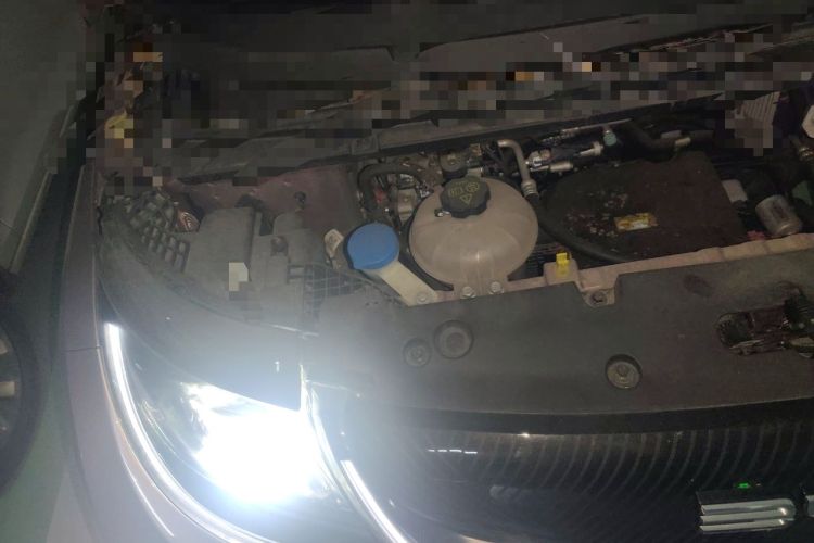 Used BYD Dolphin 2023 401km Knight Edition Engine Bay Right