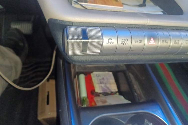 Used BYD Dolphin 2023 420 km Free Version Gear Lever