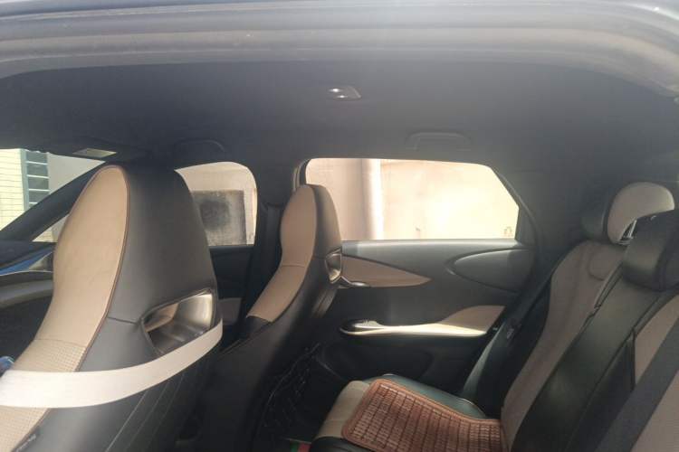 Used BYD Dolphin 2023 420 km Free Version Headliner