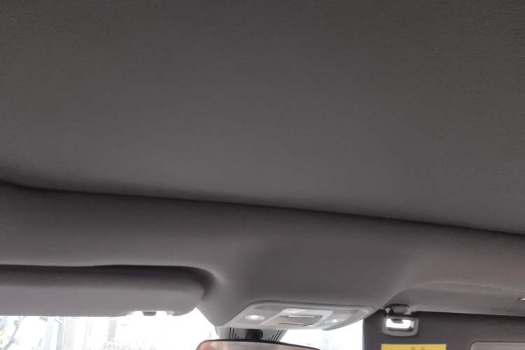 Used BYD Dolphin 2023 420 km Fashion Edition Headliner