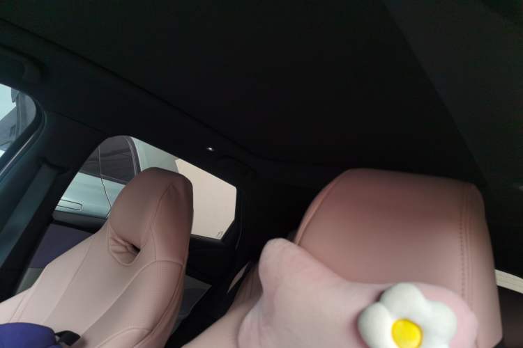 Used BYD Dolphin 2023 420 km Fashion Edition Headliner