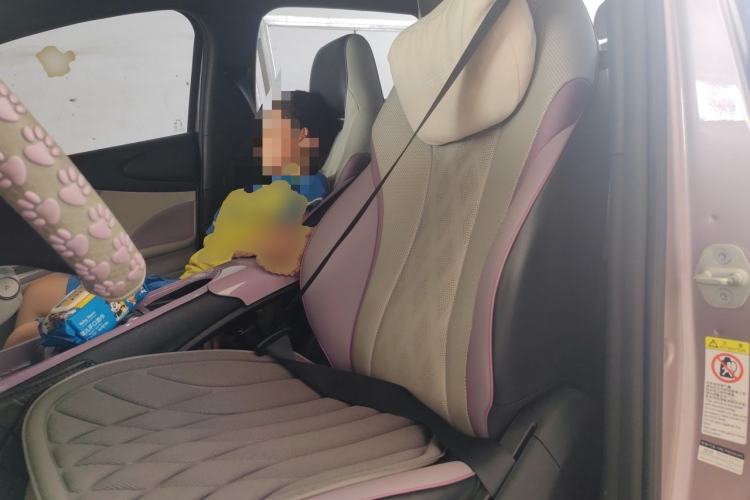 Used BYD Dolphin 2023 401km Knight Edition Left Front Seat