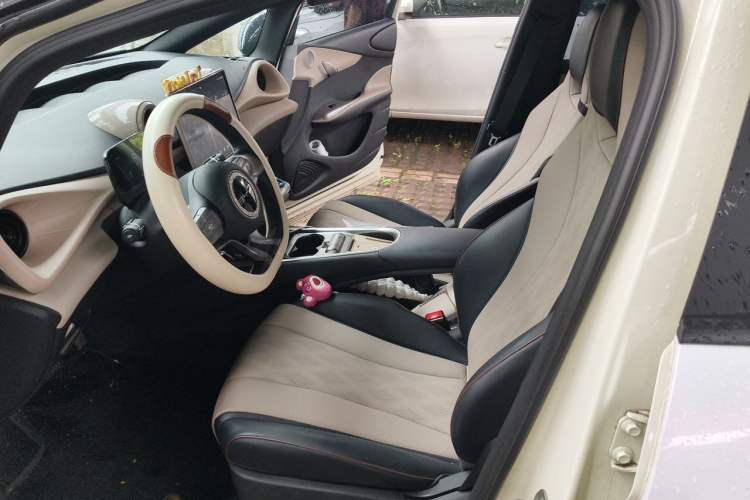 Used BYD Dolphin 2023 420 km Fashion Edition Left Front Seat