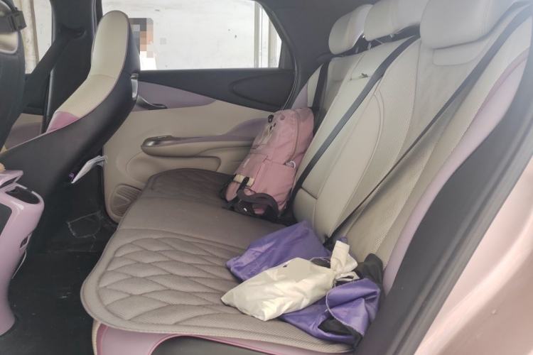 Used BYD Dolphin 2023 401km Knight Edition Left Rear Seat