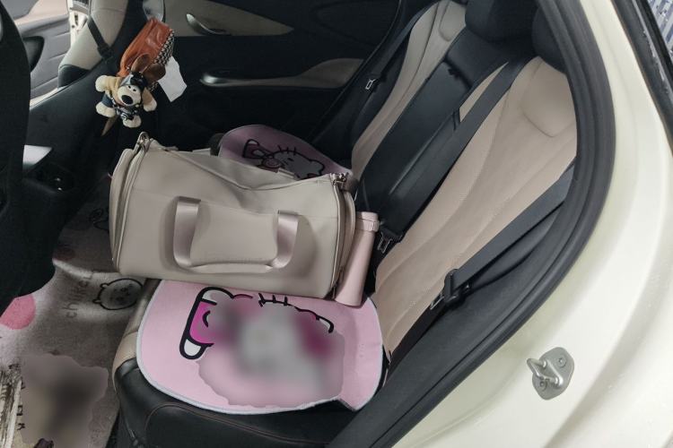 Used BYD Dolphin 2023 420 km Fashion Edition Left Rear Seat