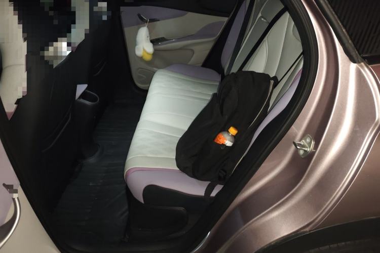 Used BYD Dolphin 2023 401km Knight Edition Left Rear Seat