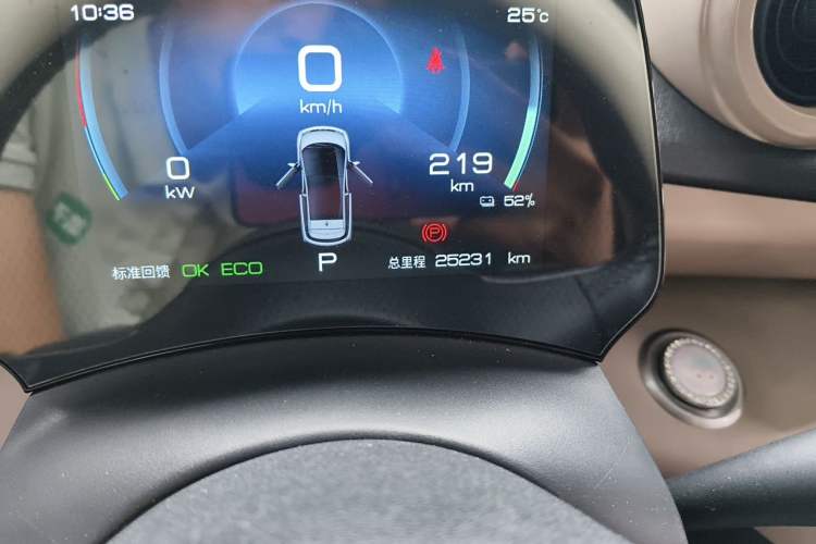 Used BYD Dolphin 2023 420 km Fashion Edition Odometer Close Up
